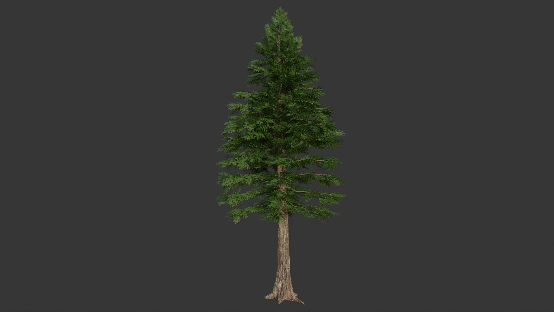 Cartoon cedar pine 3D Model .c4d .max .obj .3ds .fbx .stl .blend 