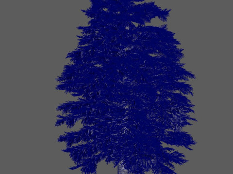 Cartoon cedar pine 3D 模型