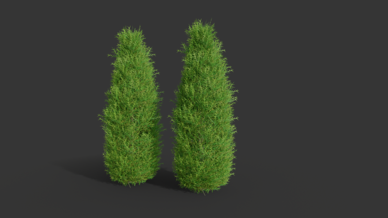 Cartoon cypress 3D Model .c4d .max .obj .3ds .fbx .stl .blend 
