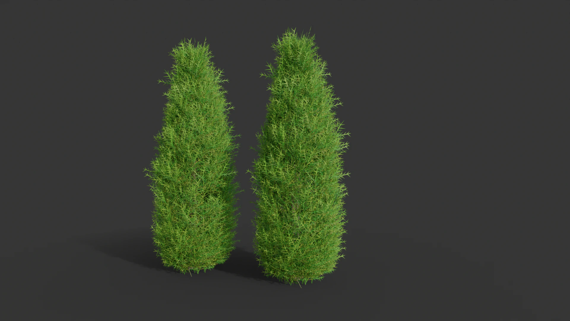 Cartoon cypress 3D Model .c4d .max .obj .3ds .fbx .stl .blend