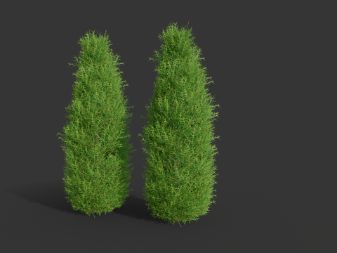 Cartoon cypress Modello 3D