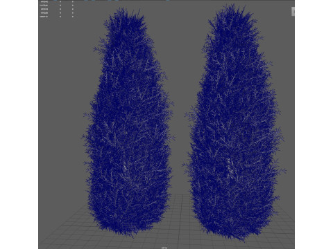 Cartoon cypress 3D Model
