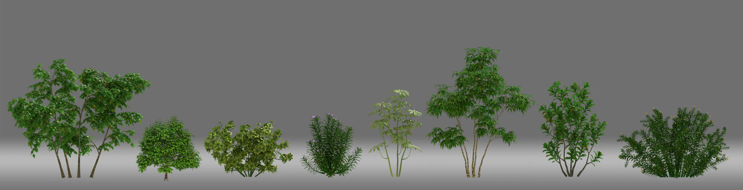Tree shrub plant 3D Model .c4d .max .obj .3ds .fbx .stl .blend 