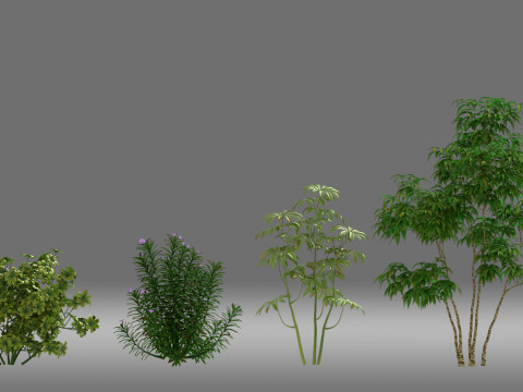 Tree shrub plant 3D Model