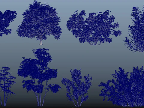 Tree shrub plant 3D Model