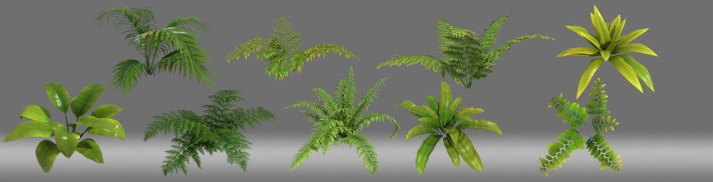 Shrub plant Modelo 3D .c4d .max .obj .3ds .fbx .stl .blend 