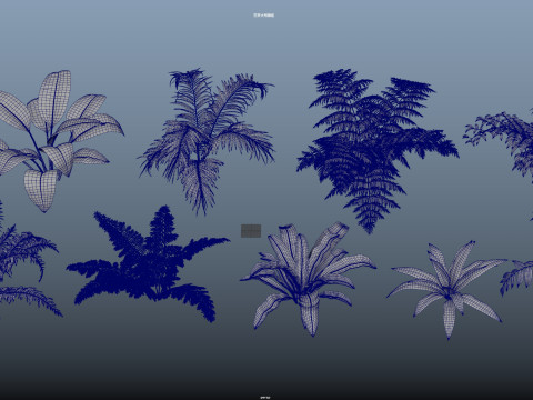 Shrub plant Modelo 3D