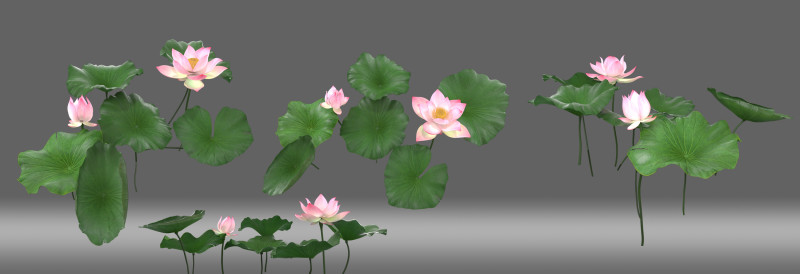 Cartoon lotus 3D Model .c4d .max .obj .3ds .fbx .stl .blend 