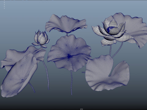 Cartoon lotus 3D Model