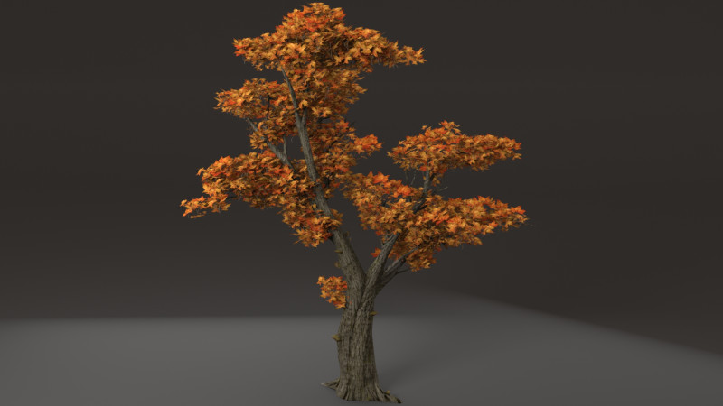 Maple Tree 3D Model .c4d .max .obj .3ds .fbx .stl .blend 