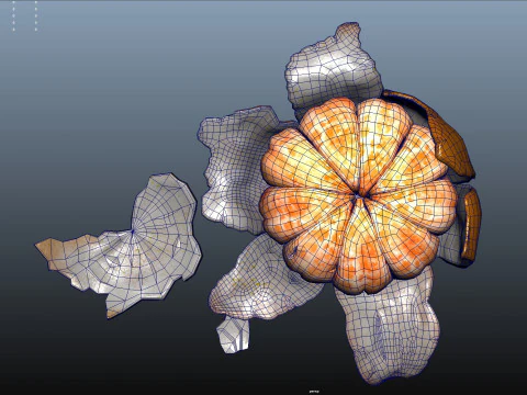 Tangerine orange 3D Model