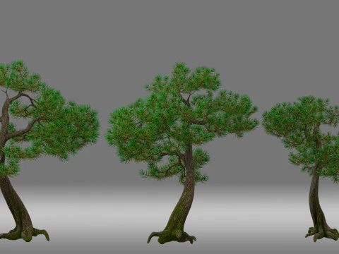 Сосна 3D Модель