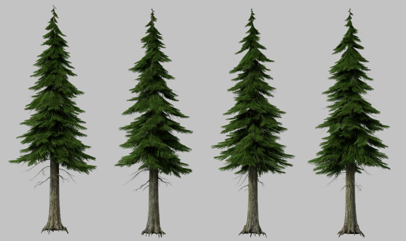 Pine tree 3D Модель .c4d .max .obj .3ds .fbx .stl .blend 
