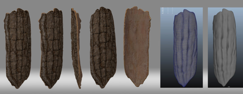 Bark Model 3D .c4d .max .obj .3ds .fbx .stl .blend