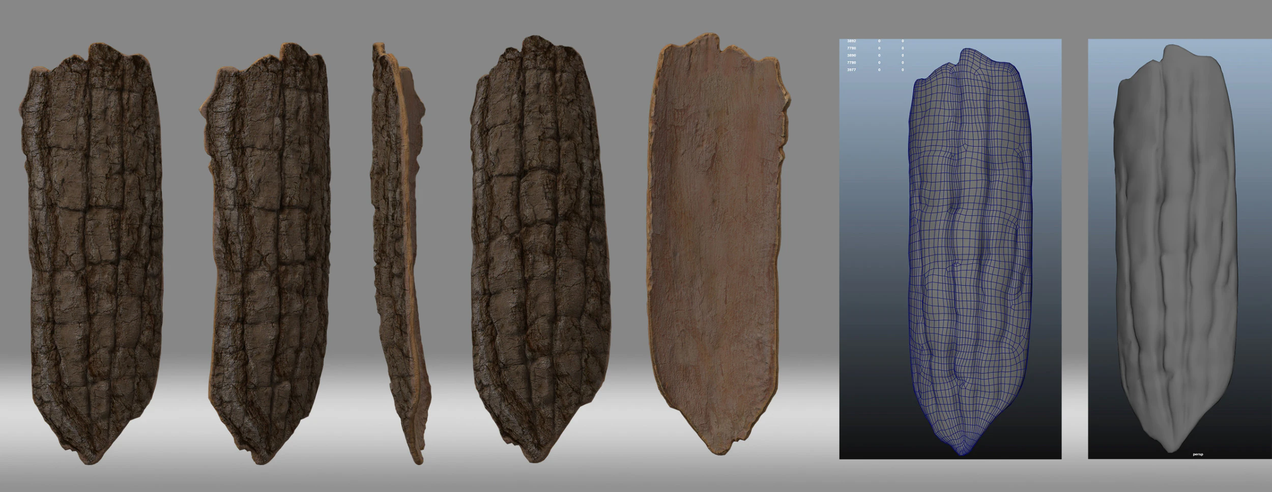 Bark 3D Model .c4d .max .obj .3ds .fbx .stl .blend