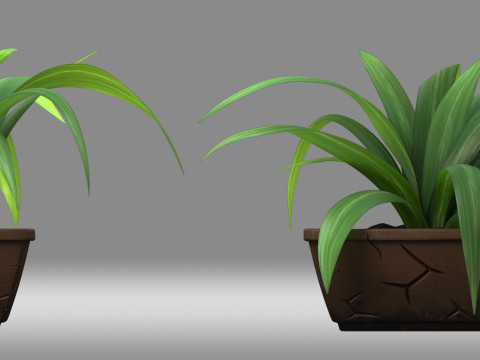 Potted Plant 3D Model
