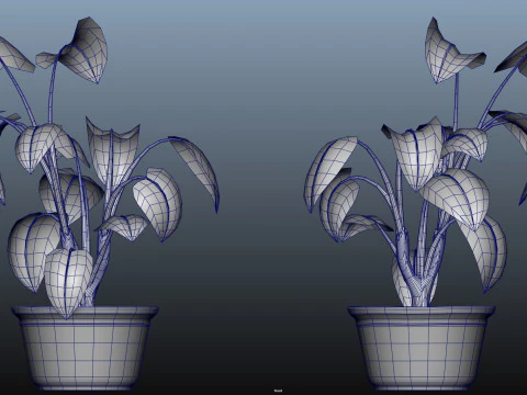 Potted Plant 3D Model