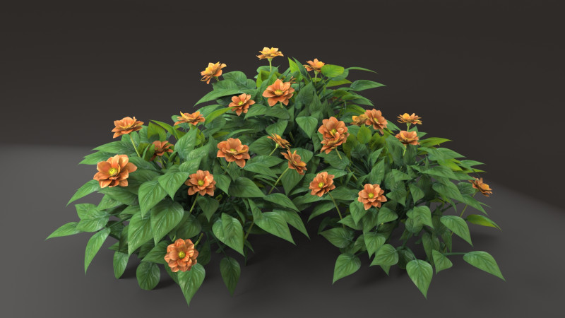 Shrub flower 3D 모델 .c4d .max .obj .3ds .fbx .stl .blend 