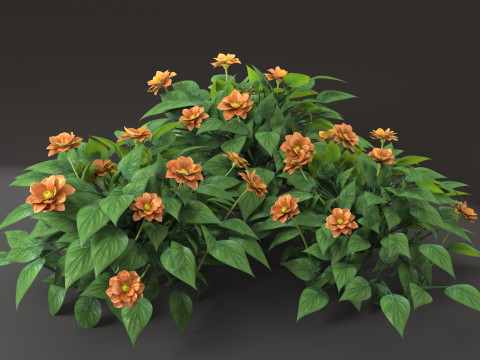 Shrub flower 3D मॉडल