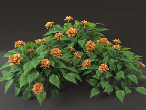 Цветок кустарника 3D Модель