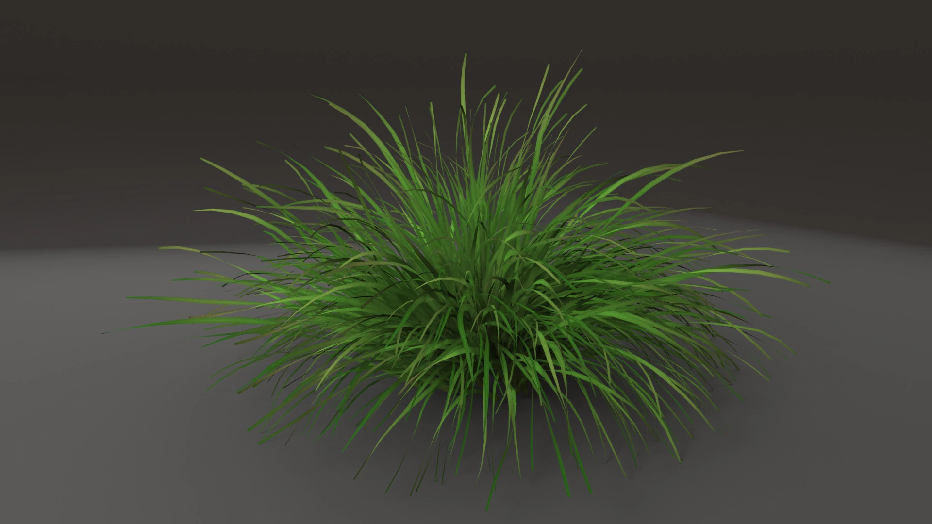Grass shrub 3D Model .c4d .max .obj .3ds .fbx .stl .blend 