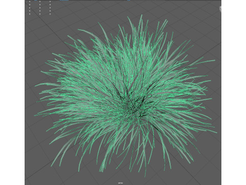 Grass shrub Modelo 3D