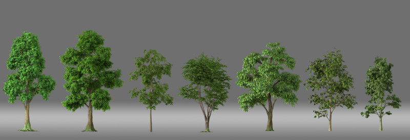 Cartoon tree plant 3D Model .c4d .max .obj .3ds .fbx .stl .blend 