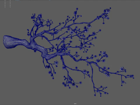 The plum tree 3D Model