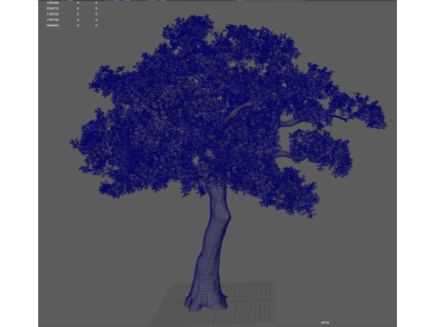 Tree shrub plant Model 3D