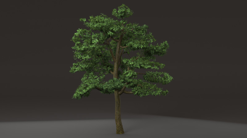 Tree shrub plant 3D 모델 .c4d .max .obj .3ds .fbx .stl .blend 