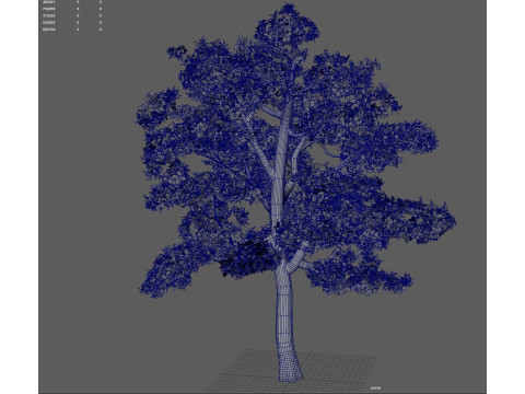 Tree shrub plant 3D 모델