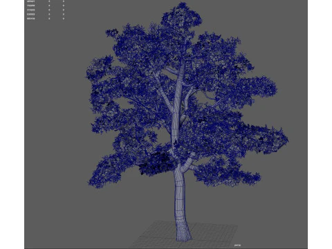 Tree shrub plant 3D Model