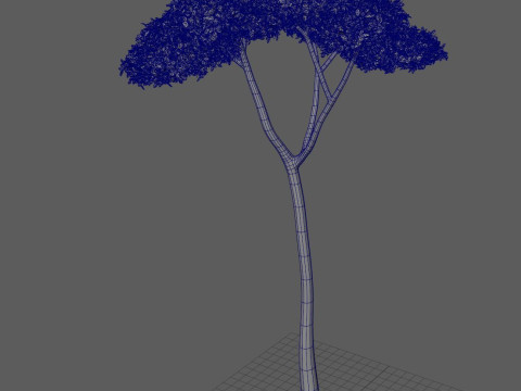 Tree shrub plant 3D मॉडल