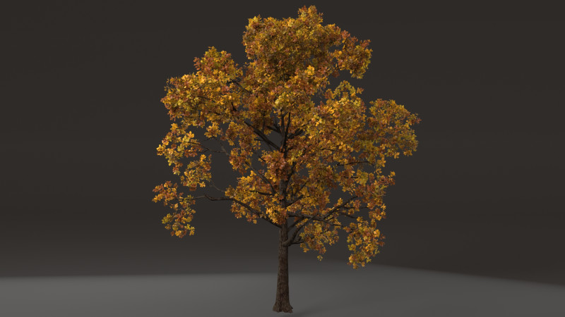 Tree shrub plant 3D मॉडल .c4d .max .obj .3ds .fbx .stl .blend 