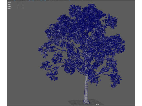 Tree shrub plant 3D मॉडल