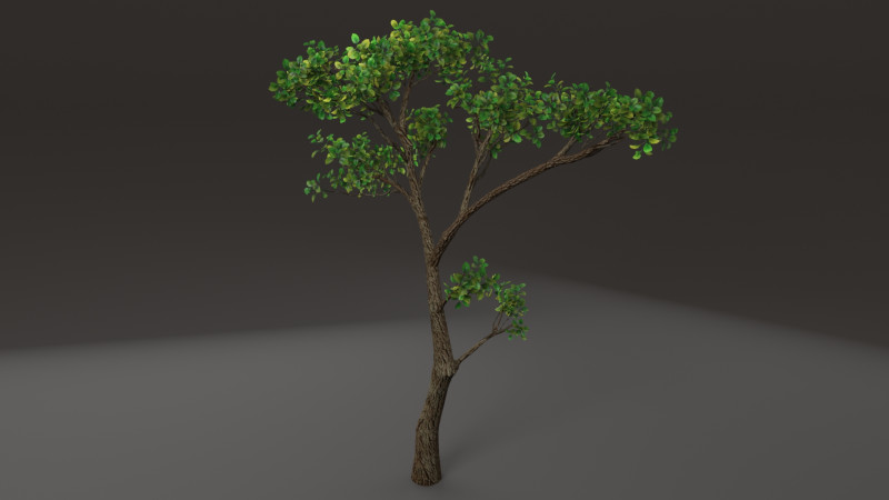 Tree shrub plant Modelo 3D .c4d .max .obj .3ds .fbx .stl .blend