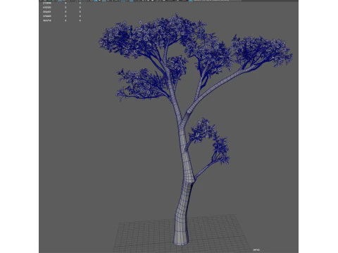 Tree shrub plant 3D Model