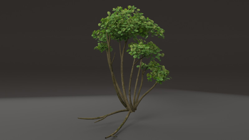 Cartoon tree Modèle 3D .c4d .max .obj .3ds .fbx .stl .blend 