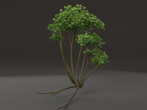 Cartoon tree 3D-Modell