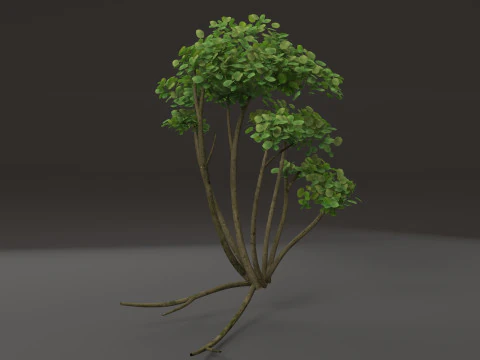 Мультяшне дерево 3D Модель