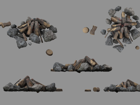 Fire 3D Model