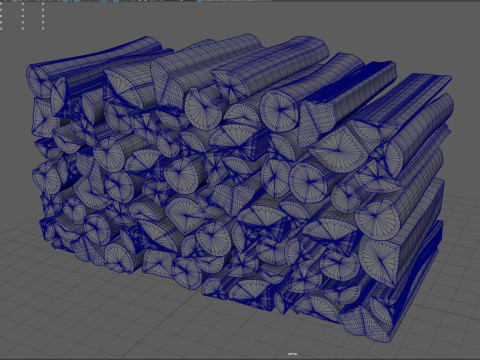 Wood Model 3D