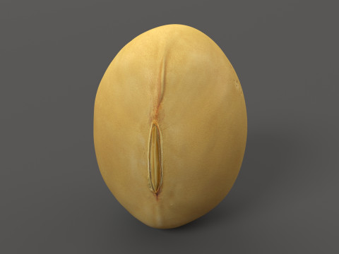 Soybean yellow bean 3D Model