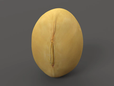 Gelbe Sojabohne 3D Modell