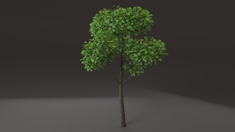 Tree shrub plant 3D Model .c4d .max .obj .3ds .fbx .stl .blend 