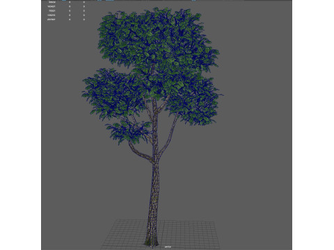 Tree shrub plant 3D Model