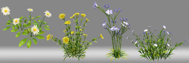 Flower plant shrub 3D Model .c4d .max .obj .3ds .fbx .stl .blend