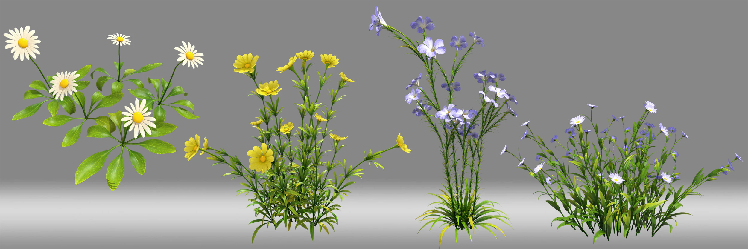 Flower plant shrub 3D Model .c4d .max .obj .3ds .fbx .stl .blend 