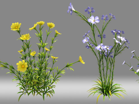 Flower plant shrub 3D Модель