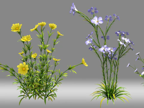 Krzew kwiatowy Model 3D